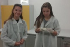 Kačka a Míša v  chemické laboratoři - Vitamíny v kuchyni?